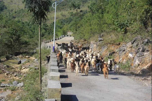 【華融扶貧】廣西分公司:落實掛牌督戰(zhàn)任務 積極助力脫貧攻堅